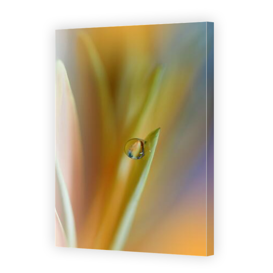 Thumbnail for Canvas - Gallery Canvas Wrap
