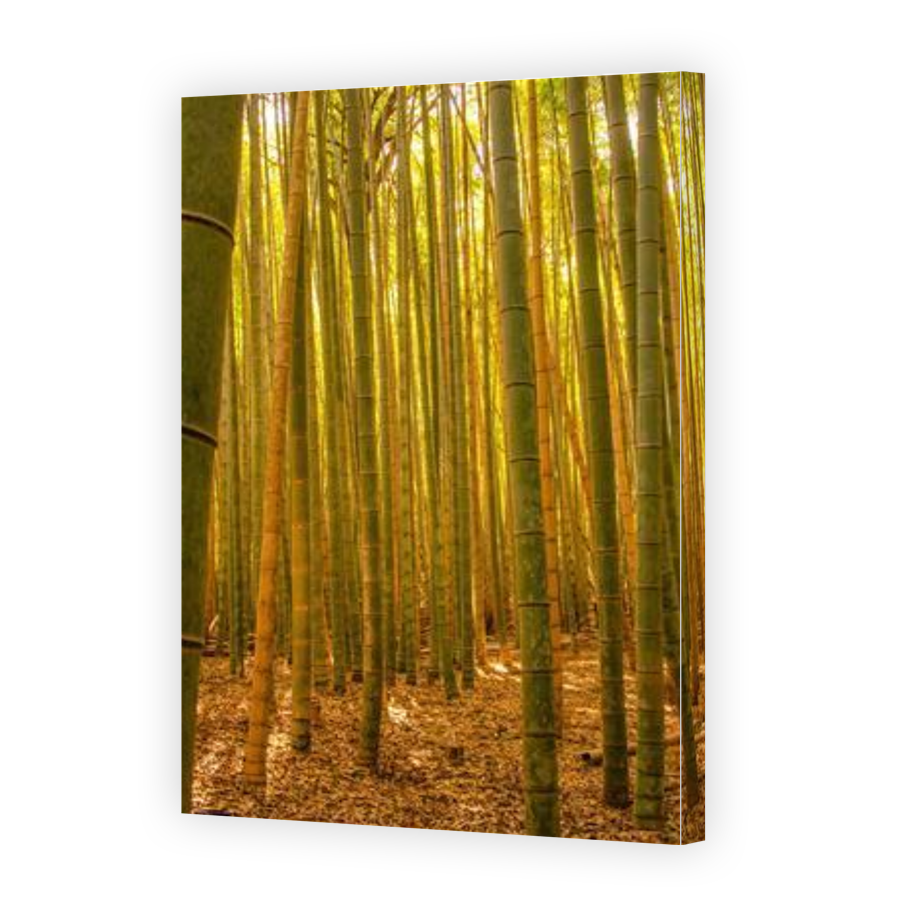 Thumbnail for Canvas - Gallery Canvas Wrap