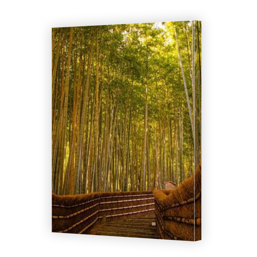 Thumbnail for Canvas - Gallery Canvas Wrap