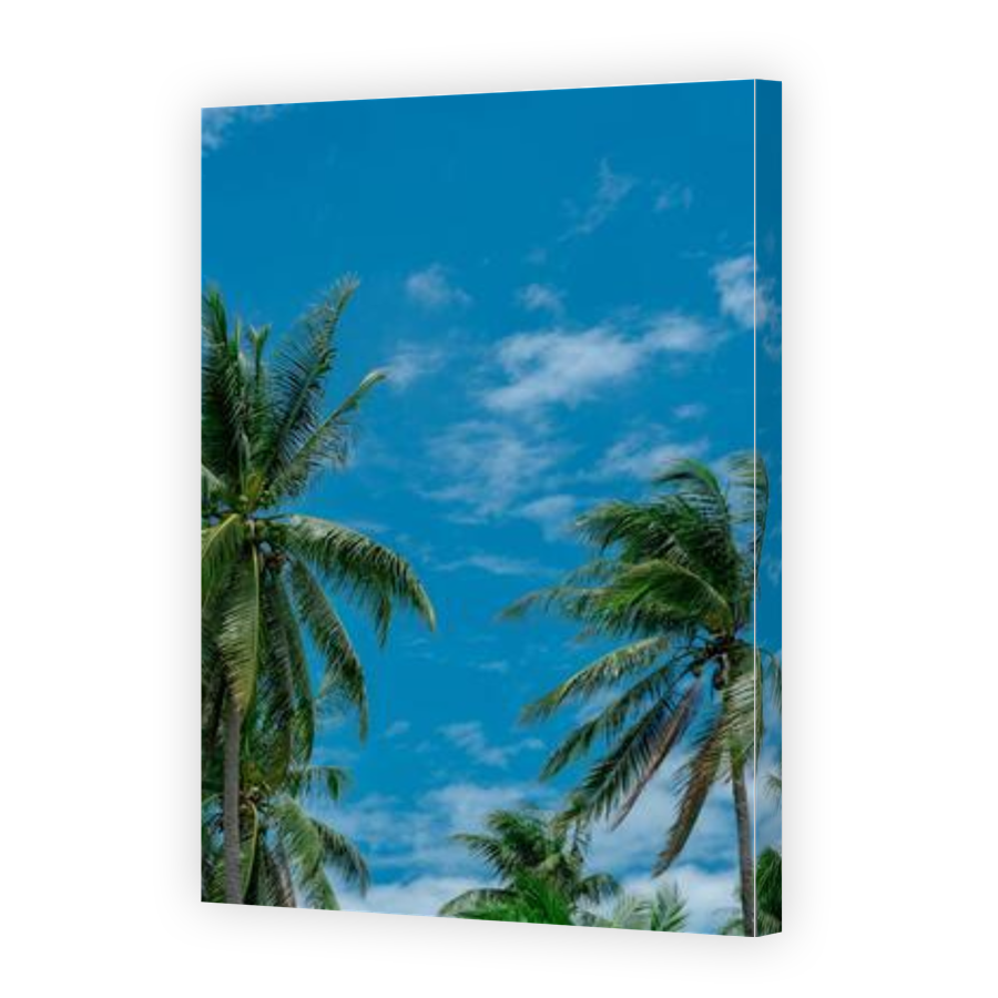 Thumbnail for Canvas - Gallery Canvas Wrap