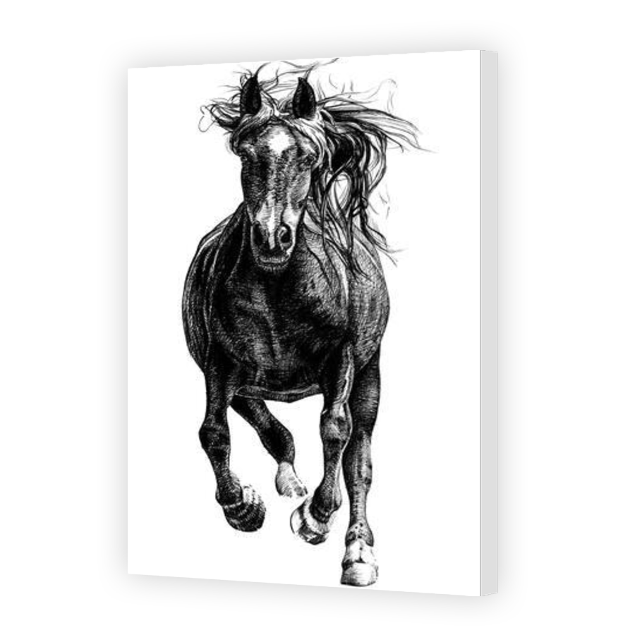 Thumbnail for Canvas - Gallery Canvas Wrap