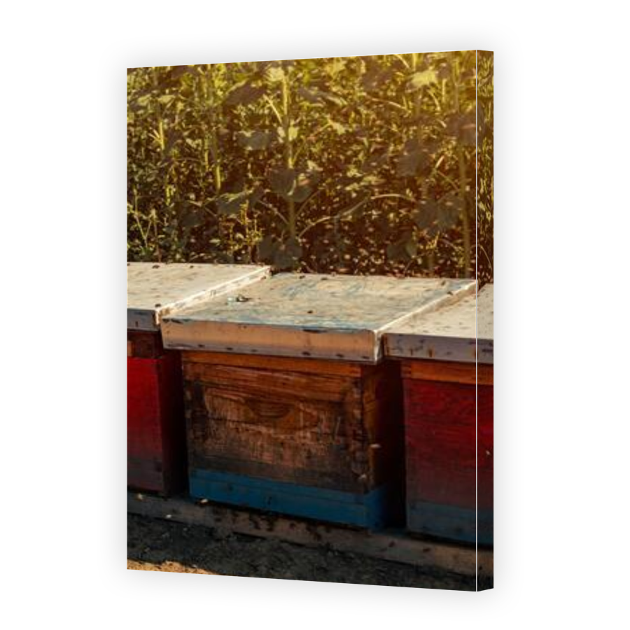 Thumbnail for Canvas - Gallery Canvas Wrap