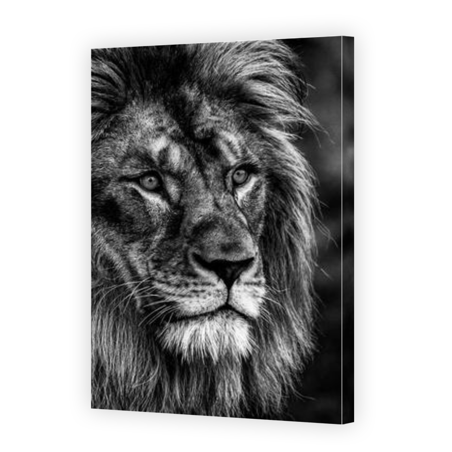 Thumbnail for Canvas - Gallery Canvas Wrap