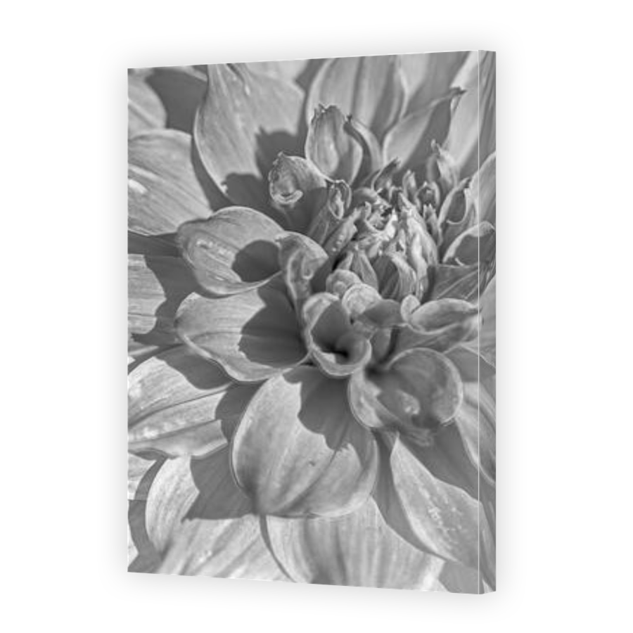 Thumbnail for Canvas - Gallery Canvas Wrap