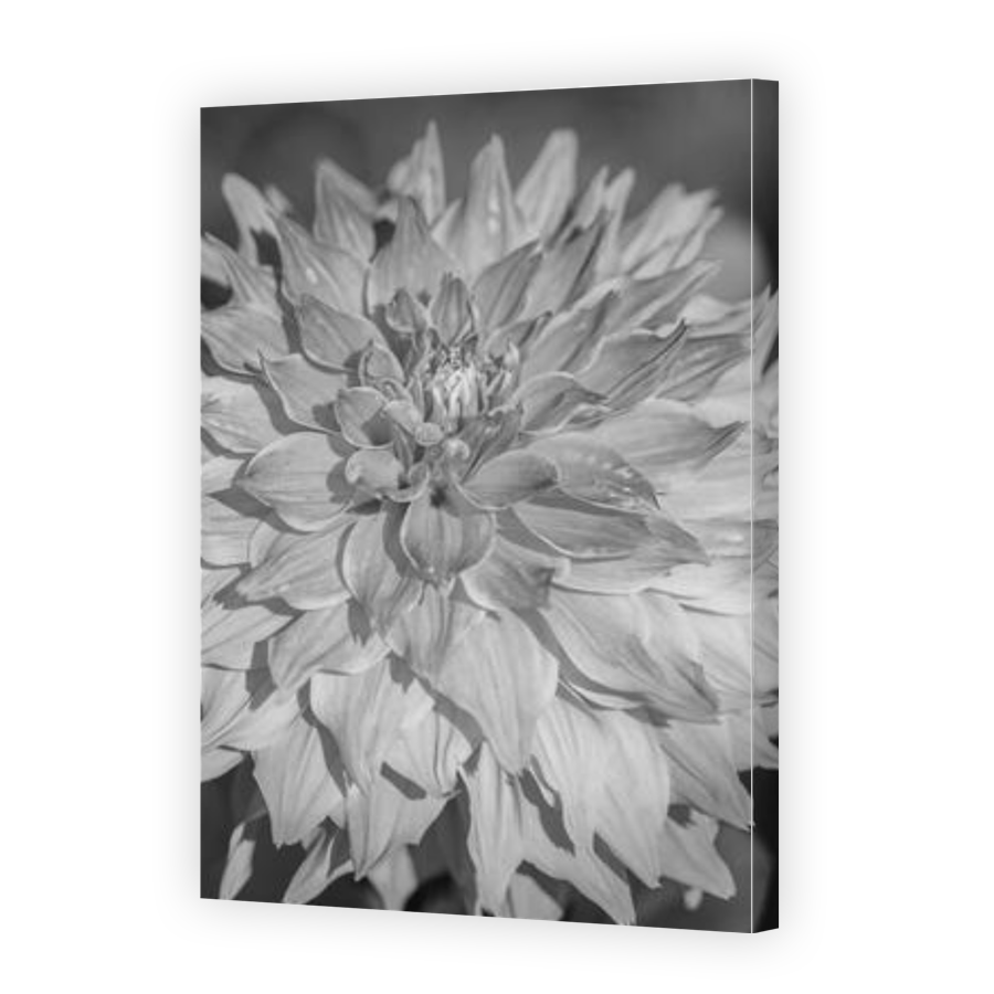 Thumbnail for Canvas - Gallery Canvas Wrap