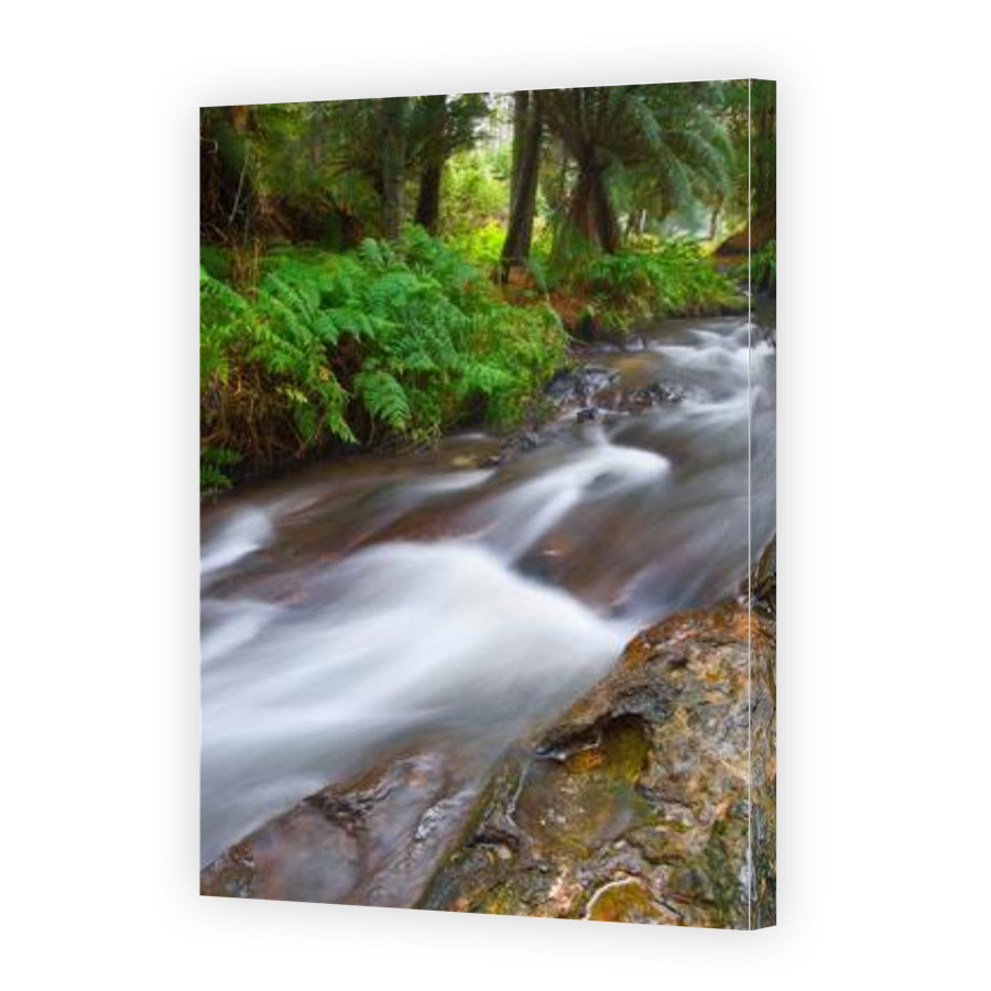 Thumbnail for Canvas - Gallery Canvas Wrap