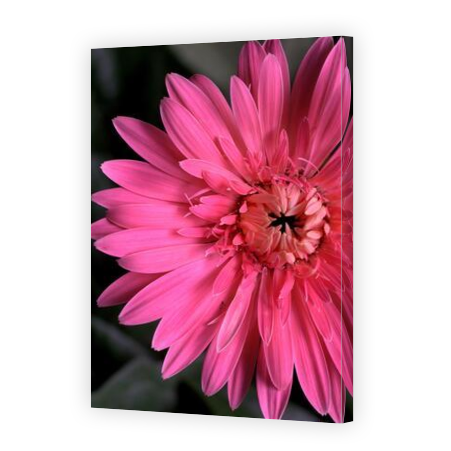 Thumbnail for Canvas - Gallery Canvas Wrap
