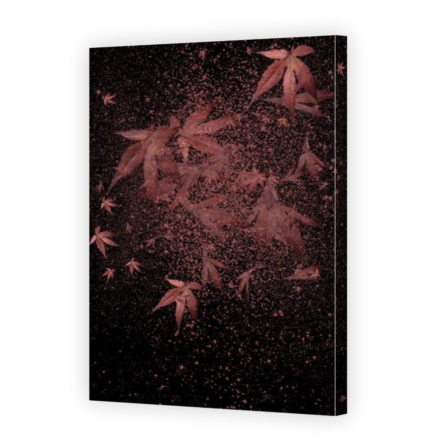 Thumbnail for Canvas - Gallery Canvas Wrap