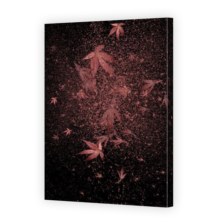 Thumbnail for Canvas - Gallery Canvas Wrap