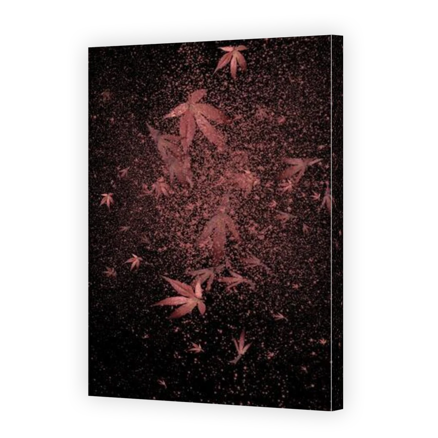 Thumbnail for Canvas - Gallery Canvas Wrap