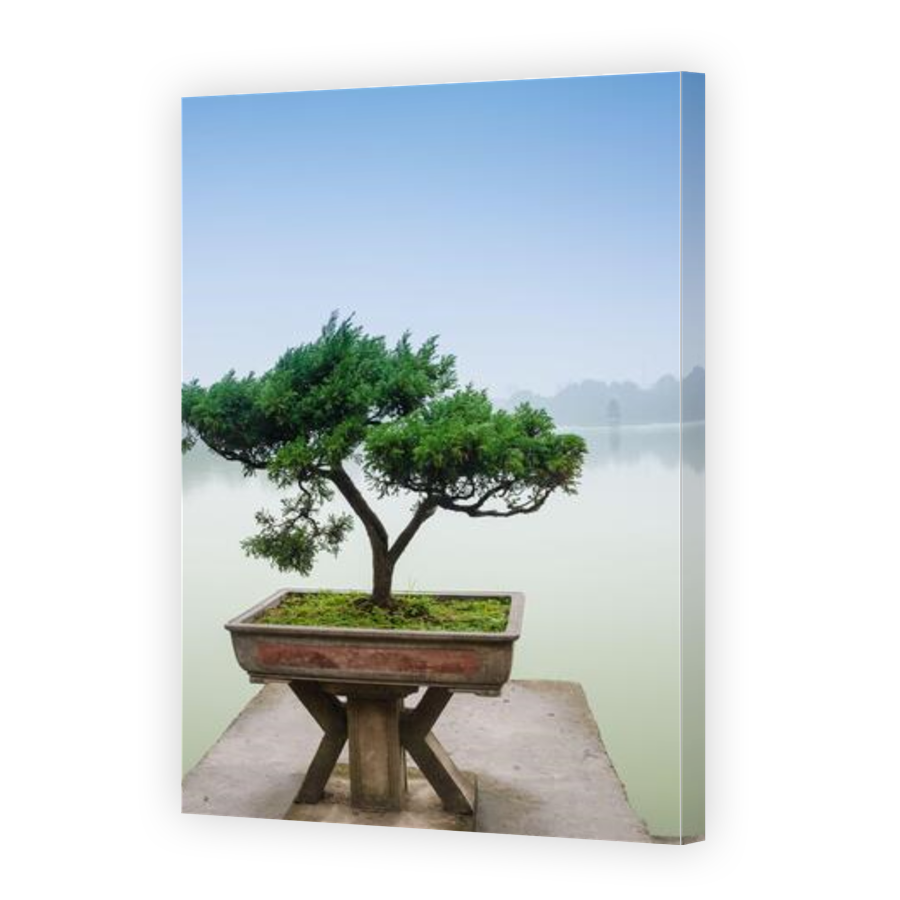Thumbnail for Canvas - Gallery Canvas Wrap