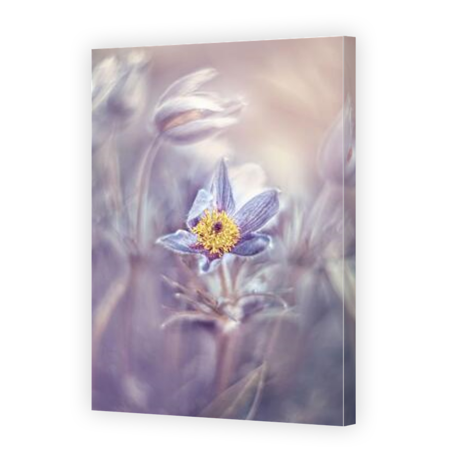 Thumbnail for Canvas - Gallery Canvas Wrap