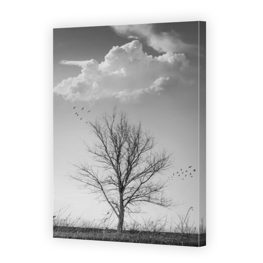 Thumbnail for Canvas - Gallery Canvas Wrap