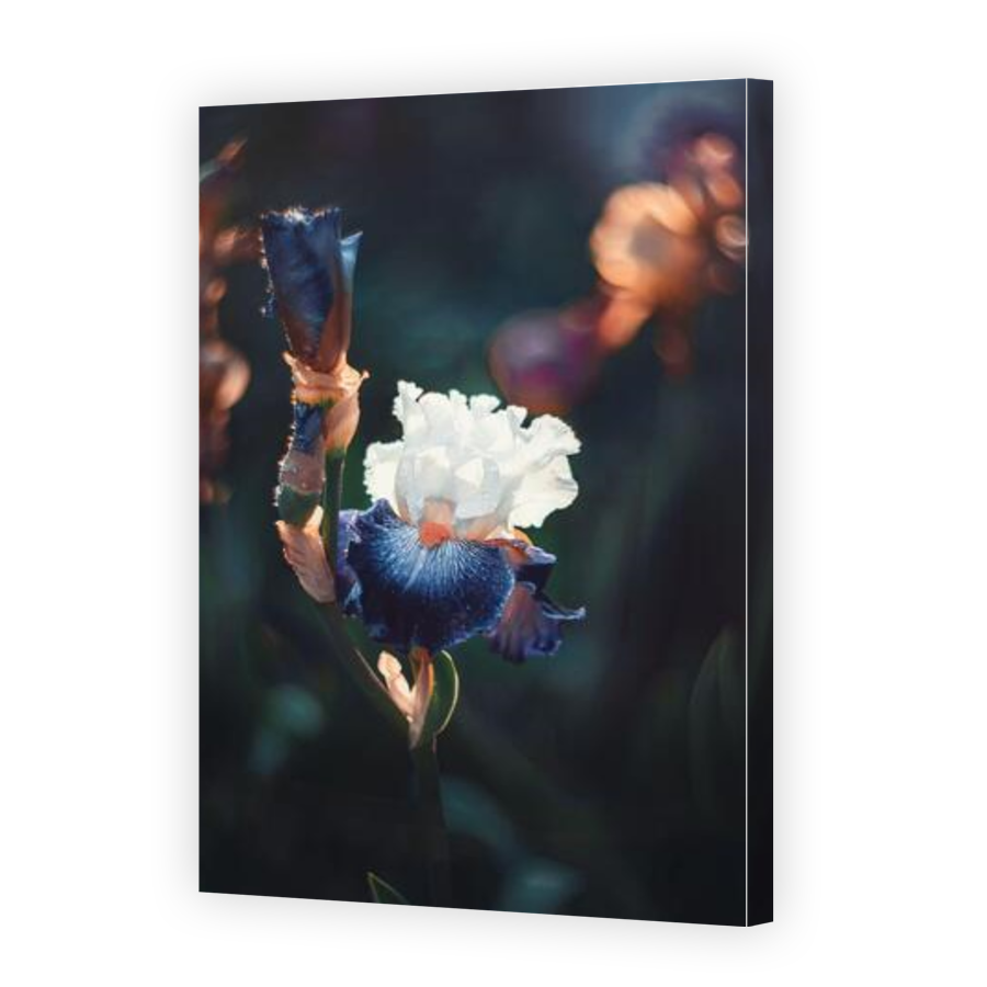 Thumbnail for Canvas - Gallery Canvas Wrap