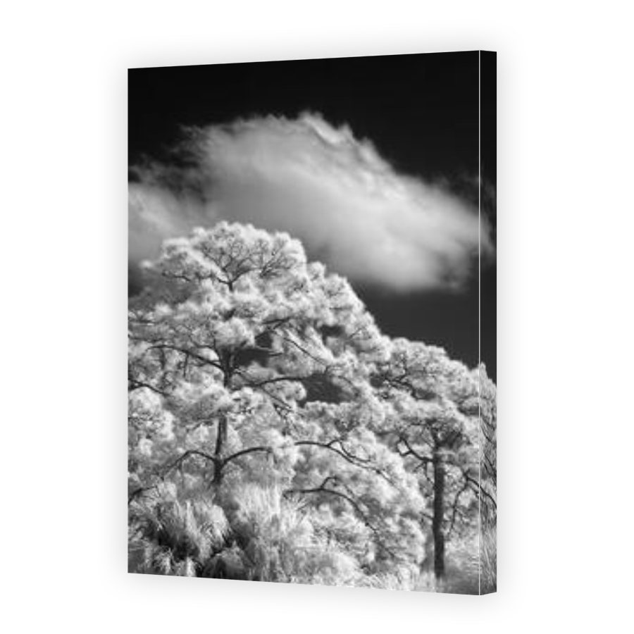 Thumbnail for Canvas - Gallery Canvas Wrap