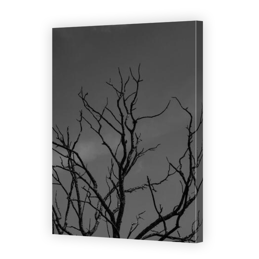 Thumbnail for Canvas - Gallery Canvas Wrap