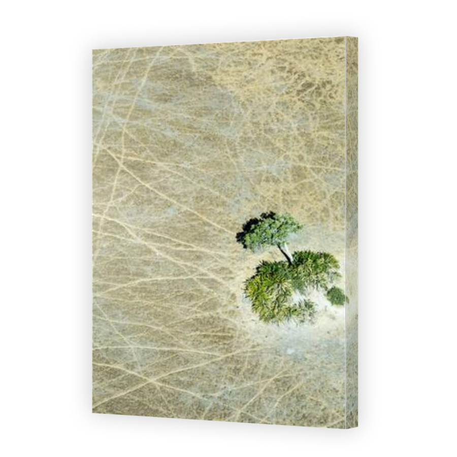 Thumbnail for Canvas - Gallery Canvas Wrap