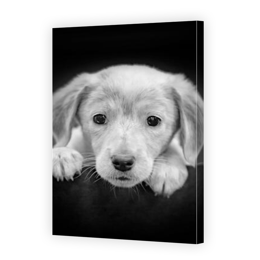 Thumbnail for Canvas - Gallery Canvas Wrap