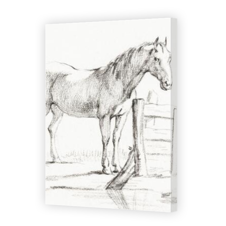 Thumbnail for Canvas - Gallery Canvas Wrap