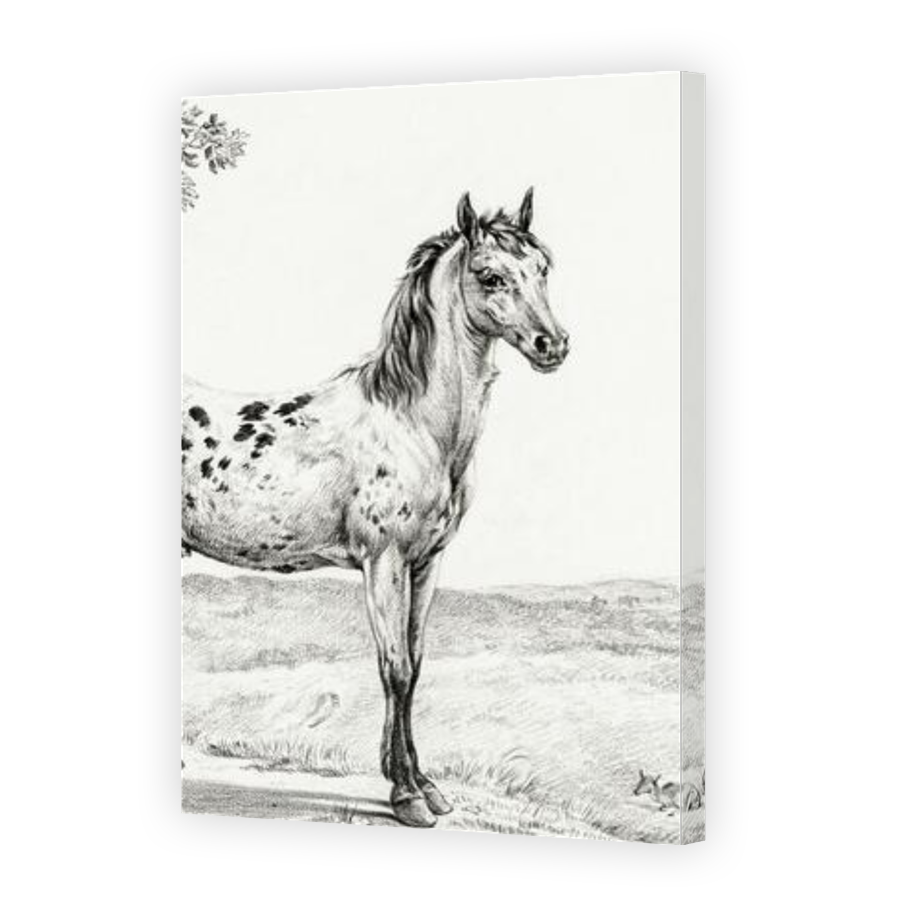 Thumbnail for Canvas - Gallery Canvas Wrap