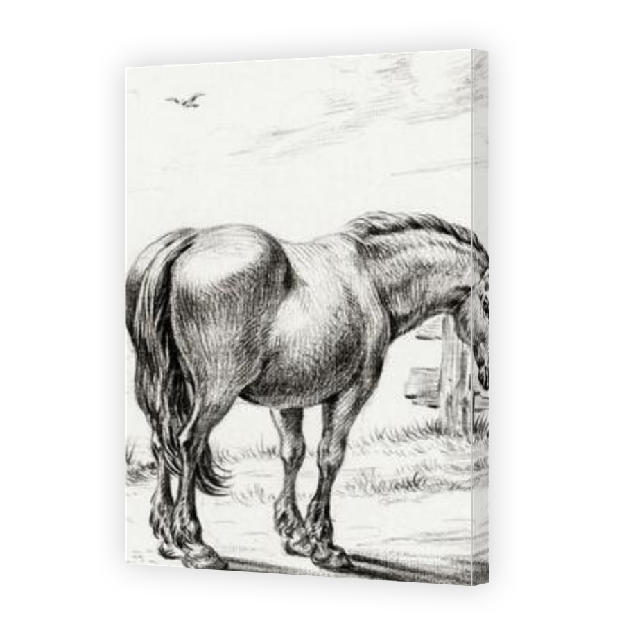 Thumbnail for Canvas - Gallery Canvas Wrap
