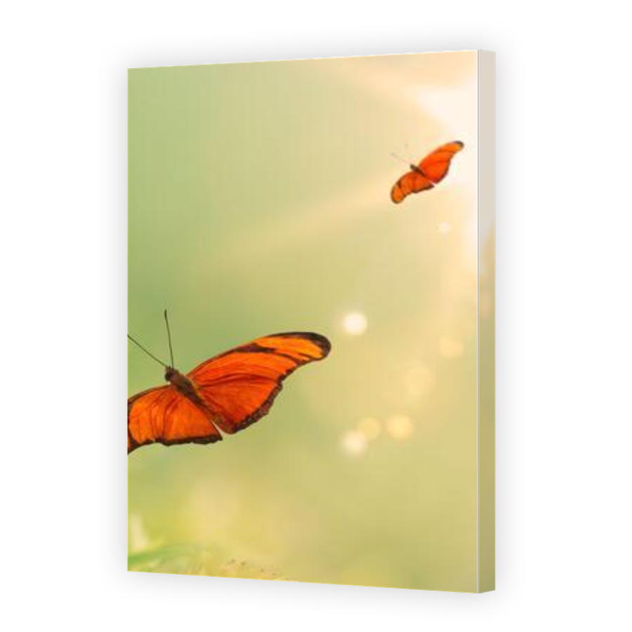 Thumbnail for Canvas - Gallery Canvas Wrap
