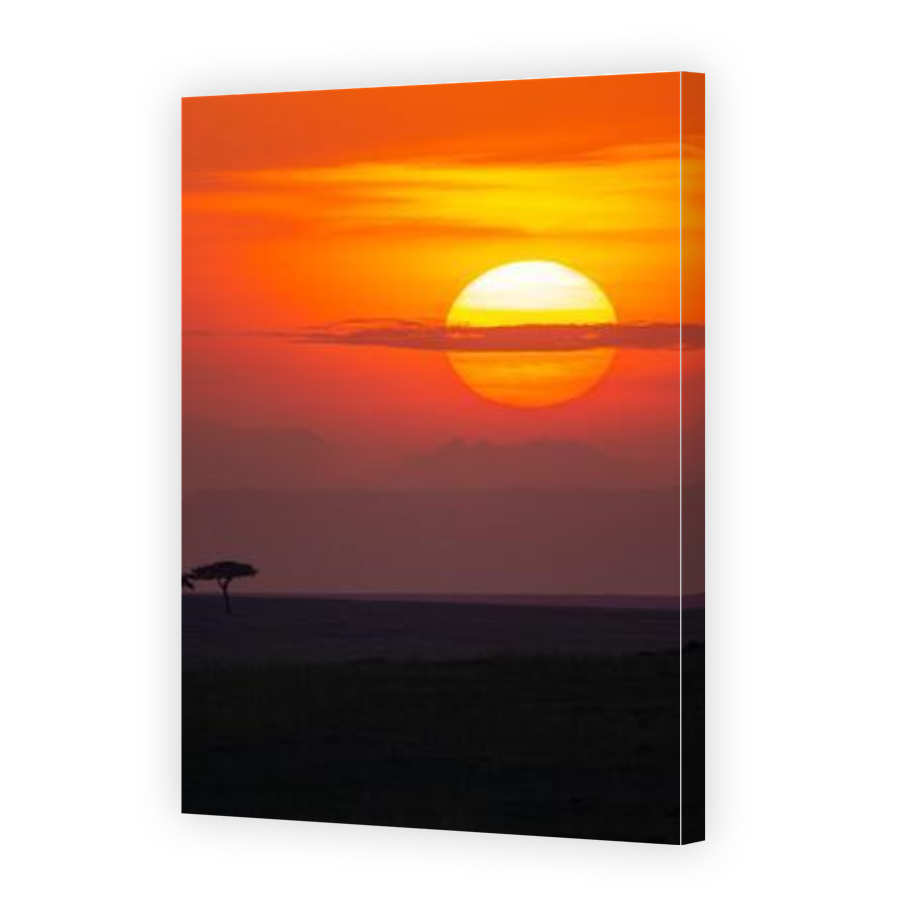 Thumbnail for Canvas - Gallery Canvas Wrap