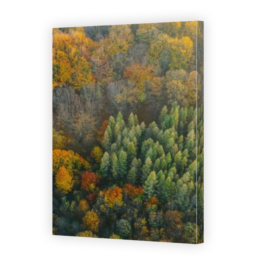 Thumbnail for Canvas - Gallery Canvas Wrap