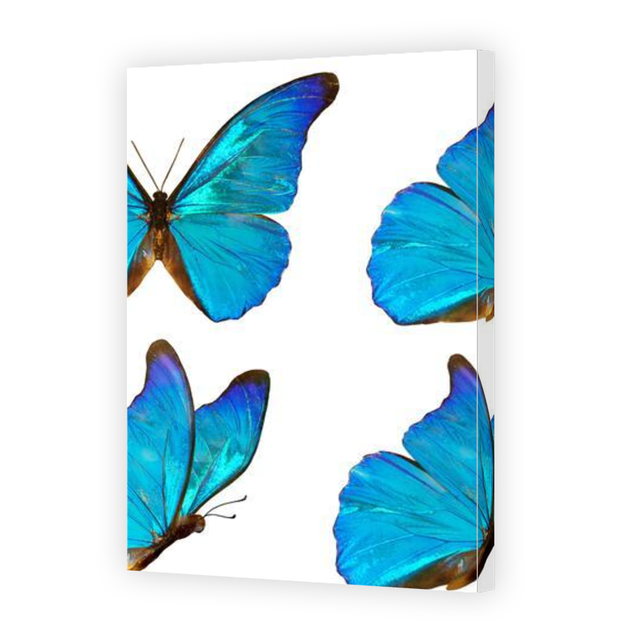 Thumbnail for Canvas - Gallery Canvas Wrap