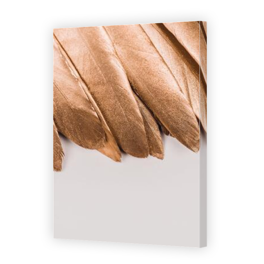 Thumbnail for Canvas - Gallery Canvas Wrap