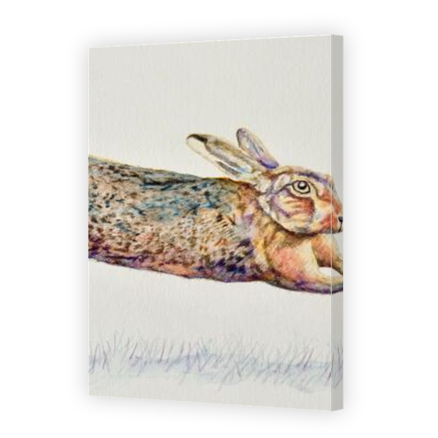 Thumbnail for Canvas - Gallery Canvas Wrap