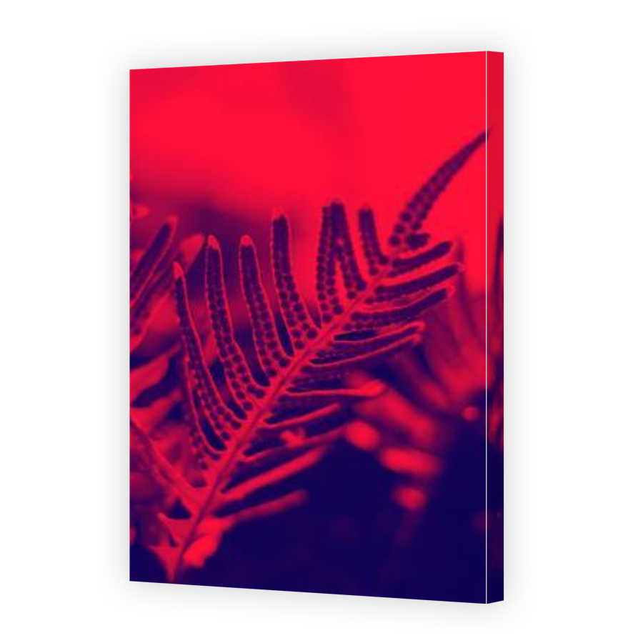 Thumbnail for Canvas - Gallery Canvas Wrap