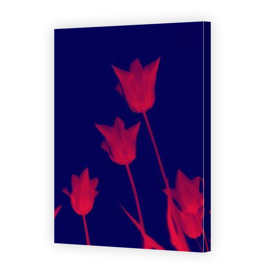 Thumbnail for Canvas - Gallery Canvas Wrap