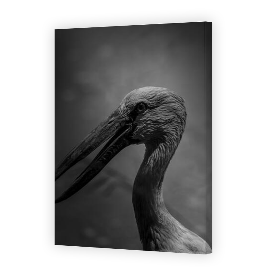 Thumbnail for Canvas - Gallery Canvas Wrap