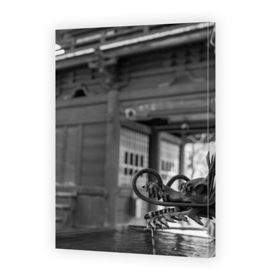 Thumbnail for Canvas - Gallery Canvas Wrap