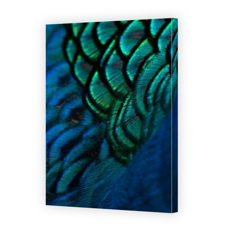 Thumbnail for Canvas - Gallery Canvas Wrap