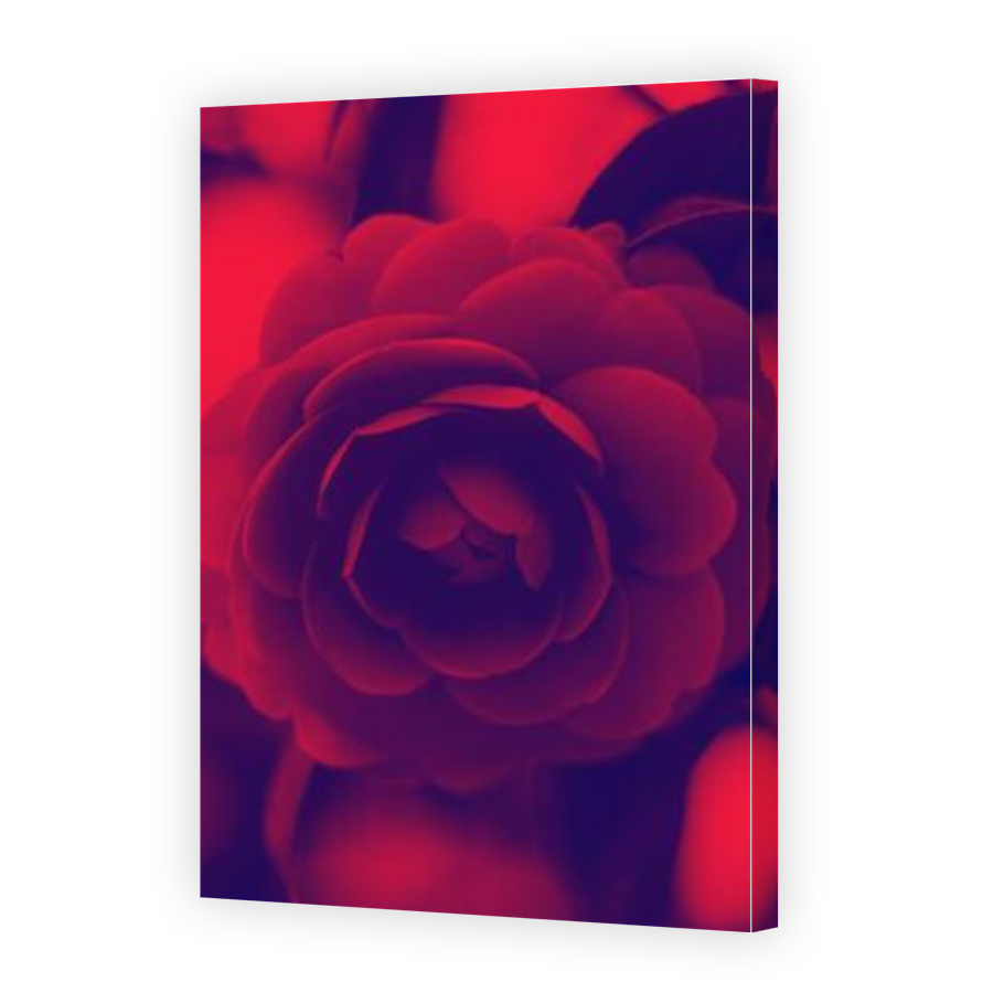 Thumbnail for Canvas - Gallery Canvas Wrap