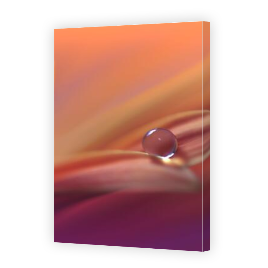 Thumbnail for Canvas - Gallery Canvas Wrap