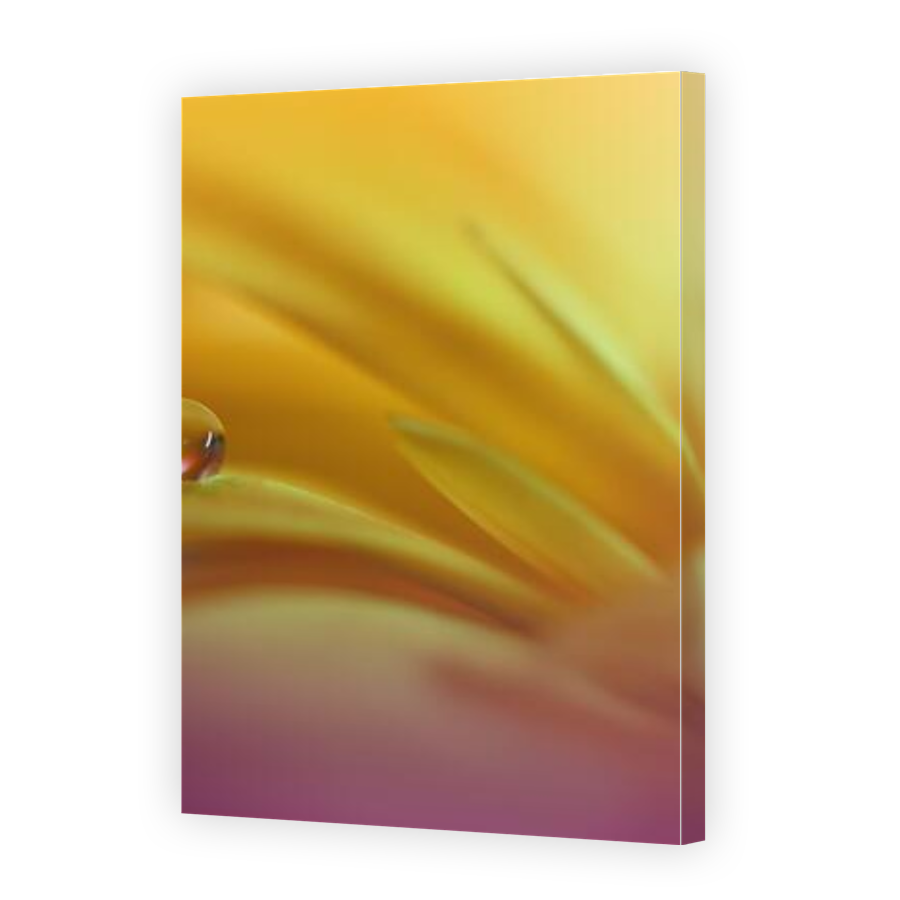 Thumbnail for Canvas - Gallery Canvas Wrap