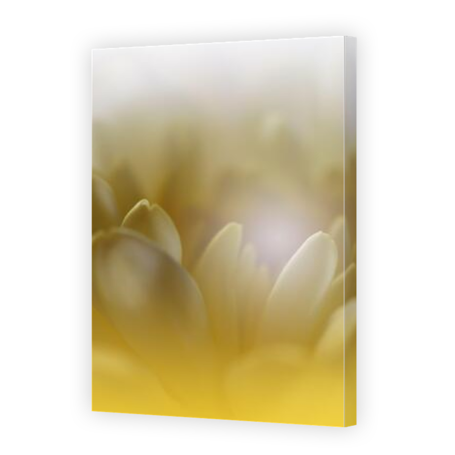 Thumbnail for Canvas - Gallery Canvas Wrap