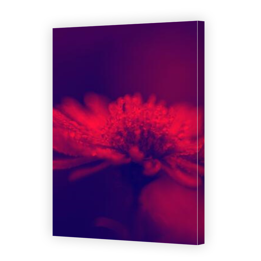 Thumbnail for Canvas - Gallery Canvas Wrap