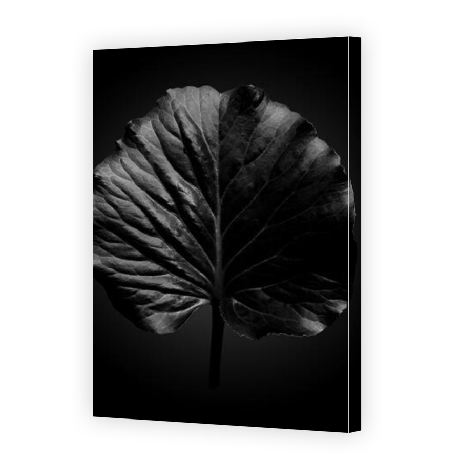 Thumbnail for Canvas - Gallery Canvas Wrap
