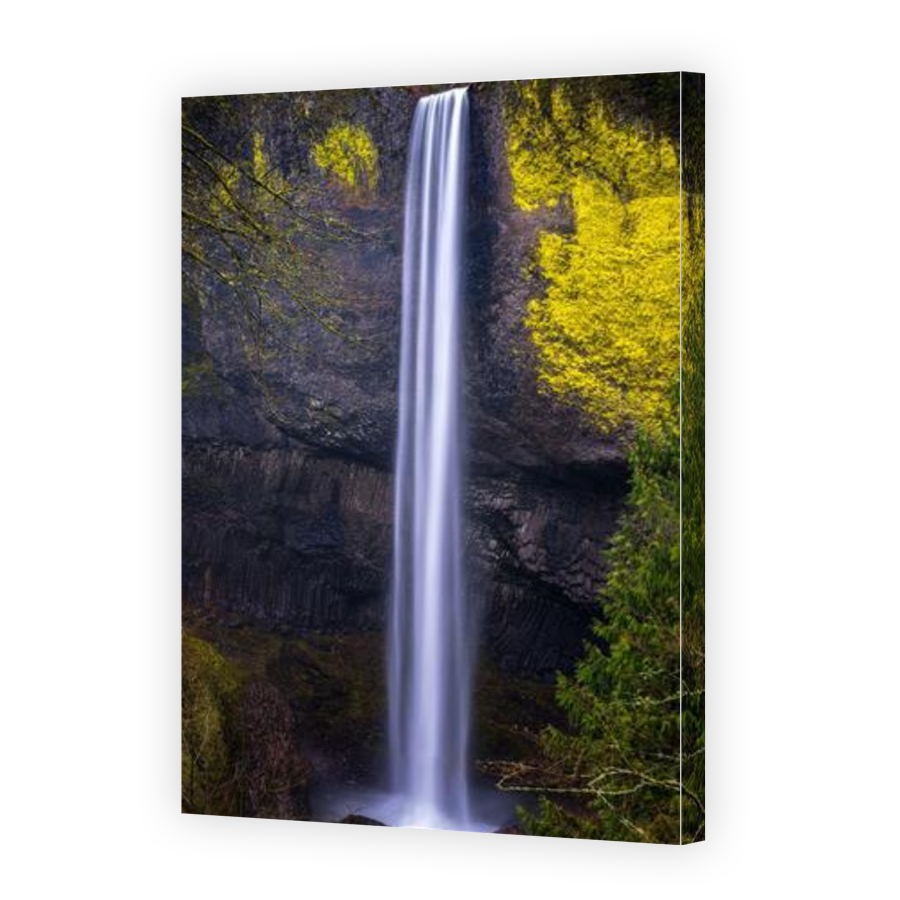 Thumbnail for Canvas - Gallery Canvas Wrap