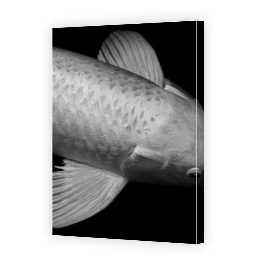Thumbnail for Canvas - Gallery Canvas Wrap