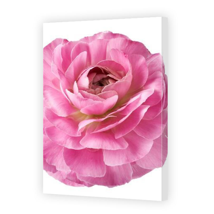 Thumbnail for Canvas - Gallery Canvas Wrap