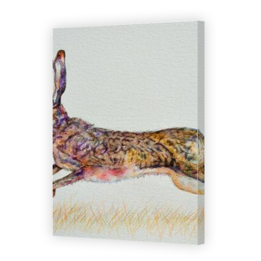 Thumbnail for Canvas - Gallery Canvas Wrap