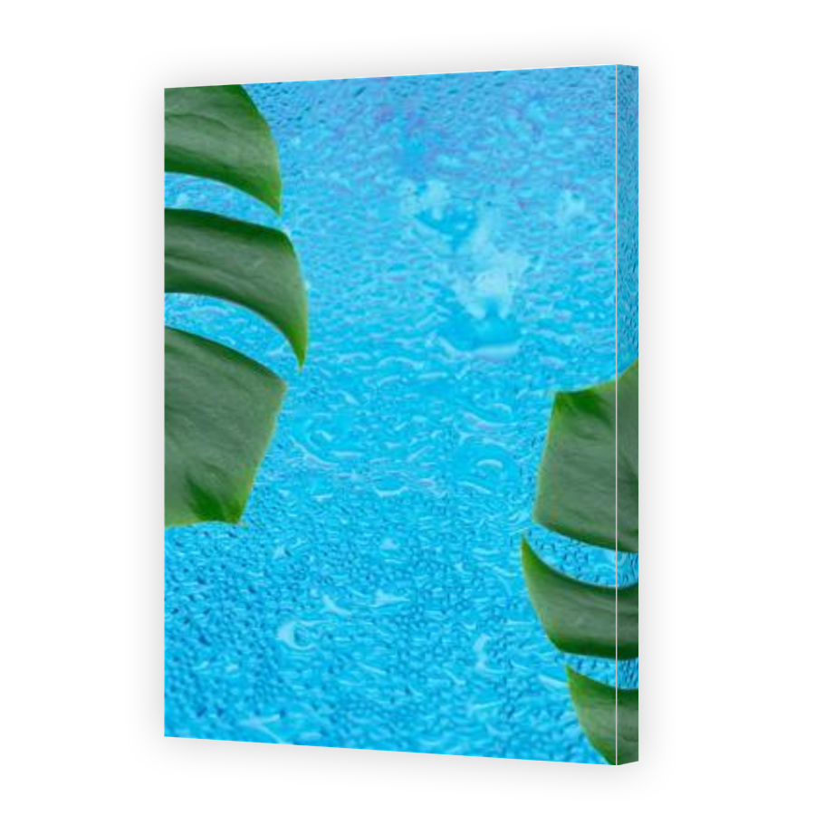 Thumbnail for Canvas - Gallery Canvas Wrap