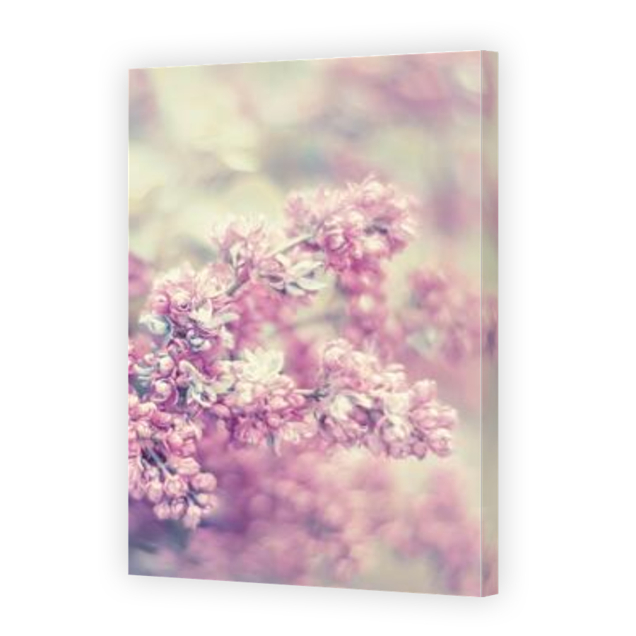 Thumbnail for Canvas - Gallery Canvas Wrap