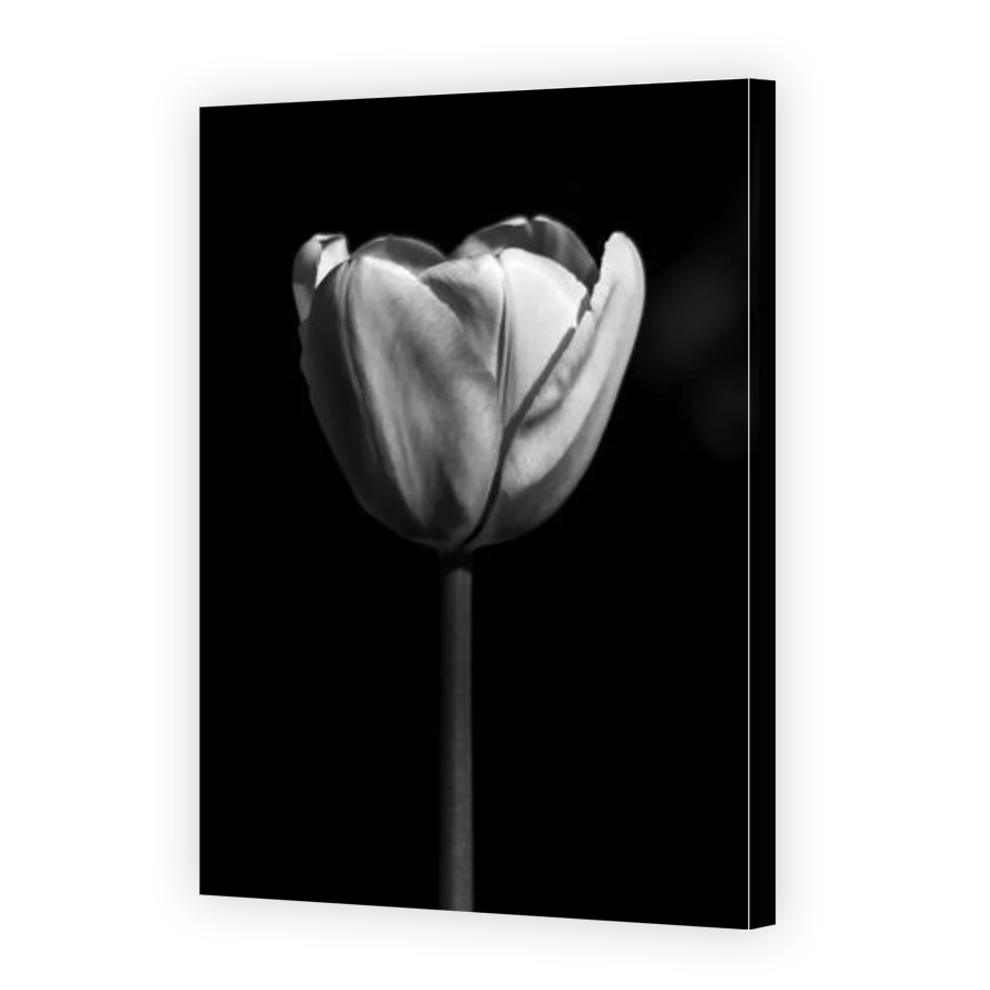 Thumbnail for Canvas - Gallery Canvas Wrap