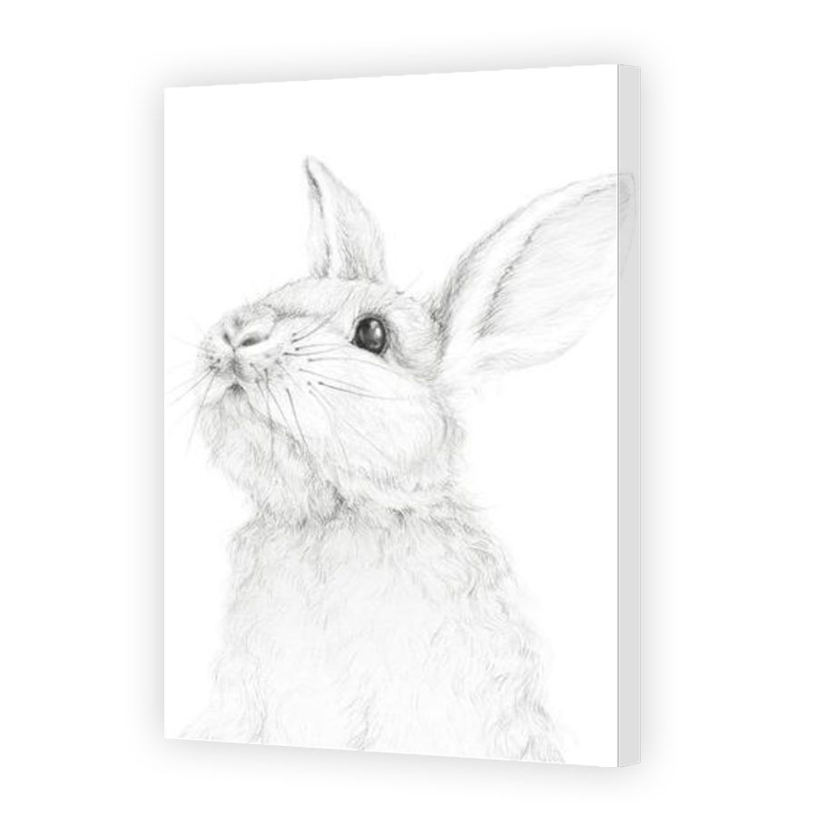 Thumbnail for Canvas - Gallery Canvas Wrap